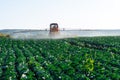 Pesticide sprayer tractor field farmer vegetables cabbage harvest greens Royalty Free Stock Photo