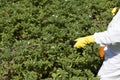 Pesticide spraying