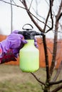 Pesticide treatment, pest control, insect extermination on fruit trees in the garden, spraying poison from a spray bottle, hands Royalty Free Stock Photo