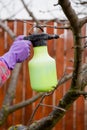 Pesticide treatment, pest control, insect extermination on fruit trees in the garden, spraying poison from a spray bottle, hands