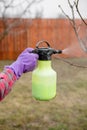 Pesticide treatment, pest control, insect extermination on fruit trees in the garden, spraying poison from a spray bottle, hands Royalty Free Stock Photo