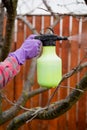 Pesticide treatment, pest control, insect extermination on fruit trees in the garden, spraying poison from a spray bottle, hands Royalty Free Stock Photo