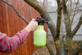 Pesticide treatment, pest control, insect extermination on fruit trees in the garden, spraying poison from a spray bottle, hands Royalty Free Stock Photo