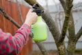 Pesticide treatment, pest control, insect extermination on fruit trees in the garden, spraying poison from a spray bottle, hands Royalty Free Stock Photo