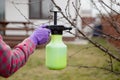 Pesticide treatment, pest control, insect extermination on fruit trees in the garden, spraying poison from a spray bottle, hands