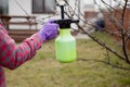 Pesticide treatment, pest control, insect extermination on fruit trees in the garden, spraying poison from a spray bottle, hands Royalty Free Stock Photo