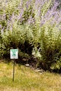 Pesticide warning sign Royalty Free Stock Photo