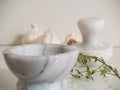 Pestle and Mortar with garlic and thyme Royalty Free Stock Photo