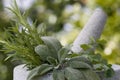 Pestle and mortar with herbs