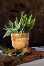 Pestle and mortar with herbs Royalty Free Stock Photo