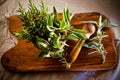 Pestle and mortar with herbs Royalty Free Stock Photo