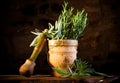 Pestle and mortar with herbs Royalty Free Stock Photo