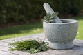 Pestle and mortar with herbs outdoor Royalty Free Stock Photo
