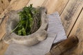 Pestle and mortar with herbs on table Royalty Free Stock Photo