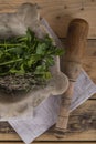 Pestle and mortar and herbs Royalty Free Stock Photo