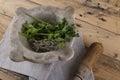 Pestle, mortar and herbs Royalty Free Stock Photo