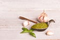 Pesto Royalty Free Stock Photo