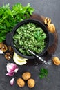 Pesto. Italian pesto with fresh pasrley, garlic, lemon juice, walnuts and olive oil