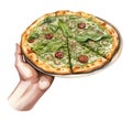 Pesto pizza watercolor clipart illustration with isolated background