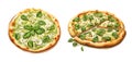 Pesto pizza watercolor clipart illustration with isolated background