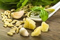 Pesto sauce Royalty Free Stock Photo