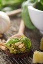 Pesto sauce with basil Royalty Free Stock Photo