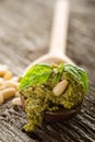 Pesto sauce with basil Royalty Free Stock Photo