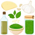 Pesto sauce ingredients for traditional Italian pesto sauce. Basil, olive oil, garlic and parmesan cheese. Vector illustration