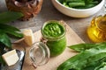 Pesto sauce made of wild garlic or ramson leaves harvested in spring