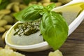 Pesto sauce over White spoon Royalty Free Stock Photo