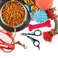Pet accessories concept. Dry food, collars and rubber toys for pet on isolated white