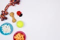 Pet accessories, food and toy on white background. Flat lay. Top Royalty Free Stock Photo