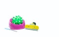 Pet accessories about rubber toys, Brush for grooming Royalty Free Stock Photo