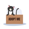 pet adoption and fostering concept. Black Cat in Box with 'Adopt Me' Sign