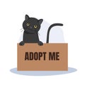 pet adoption and fostering concept. Black Cat in Box with 'Adopt Me' Sign