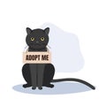 pet adoption and fostering concept. Homeless Furry Friend with Adoptable Collar. Balck Cat with 'Adopt Me' Collar