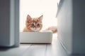 Pet adoption, small red kitten sitting in a cat litter toilet box, sunny near window. Generative AI