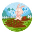 Pet animal Rabbit eating carrot on jungle forest background