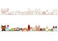 Pet animals border set