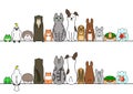 Pet animals in line, front and back
