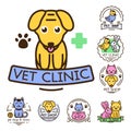 Pet badge vector graphic sticker set domestic insignia cat dog veterinary animal sticker illustration Royalty Free Stock Photo