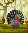 Pet bird Turkey on jungle forest background