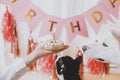 Pet birthday party. Cute cat and dog looking at birthday donut with candle in room with pink garland Royalty Free Stock Photo