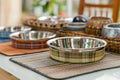 pet bowls displayed with matching placemats Royalty Free Stock Photo