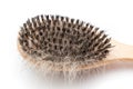 Pet brush with clump of dog hair Royalty Free Stock Photo