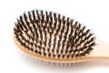 Pet brush Royalty Free Stock Photo