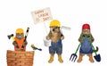 Pet builders celebrate labor day 3