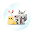 Pet care concept with cats protected in polygonal sphere shield