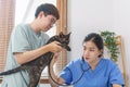 Pet care concept, Female veterinary use stethoscope to check breath of little kitten in vet clinic Royalty Free Stock Photo