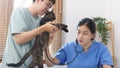 Pet care concept, Female veterinary use stethoscope to check breath of little kitten in vet clinic Royalty Free Stock Photo